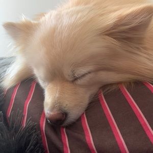 Meet your Posher, Mathew